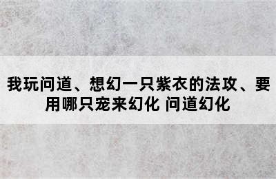 我玩问道、想幻一只紫衣的法攻、要用哪只宠来幻化 问道幻化